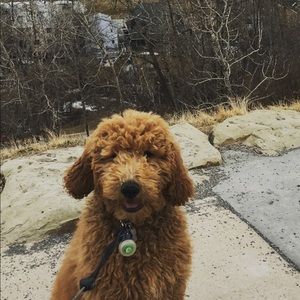 Meet your Posher, Michael